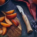 Opinel N°07 Chestnut Garlic Klapptaschenmesser, 12C27 Klinge, Walnussgriff