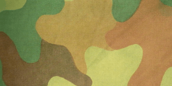 Polish Petals Camouflage