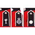 Echte britische Armeejacke, Uniform, Tunika, rotes Kleid, scharlachrote Gardekavallerie