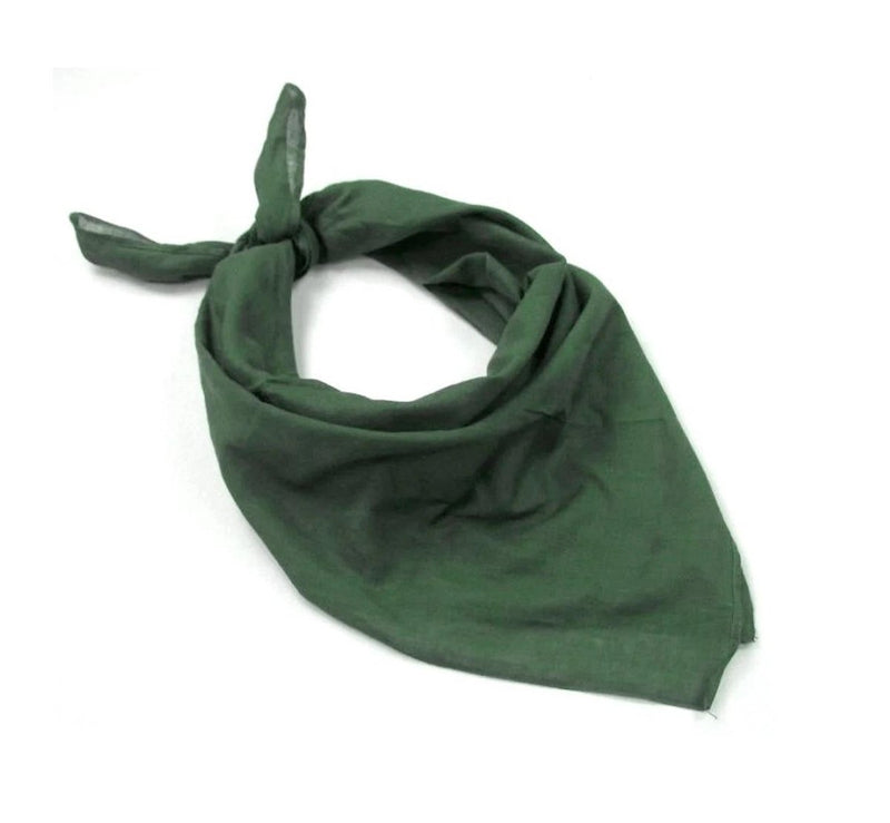 Green bandana on a white background