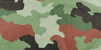 M93 Eichenblatt