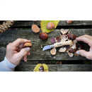 Opinel N°07 Chestnut Garlic Klapptaschenmesser, 12C27 Klinge, Walnussgriff